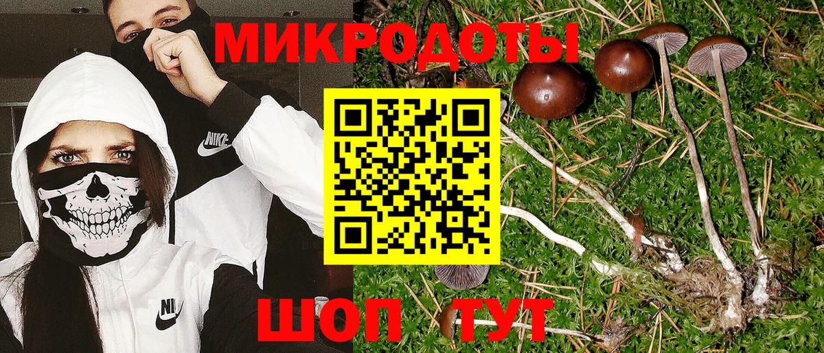Псилоцибиновые грибы MAGIC MUSHROOMS Лабинск