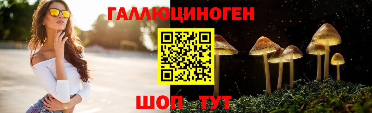 МЕФ Лабинск
